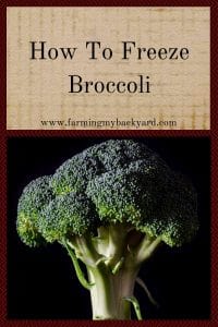 How To Freeze Broccoli