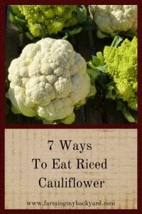 7 Ways To Eat Riced Cauliflower