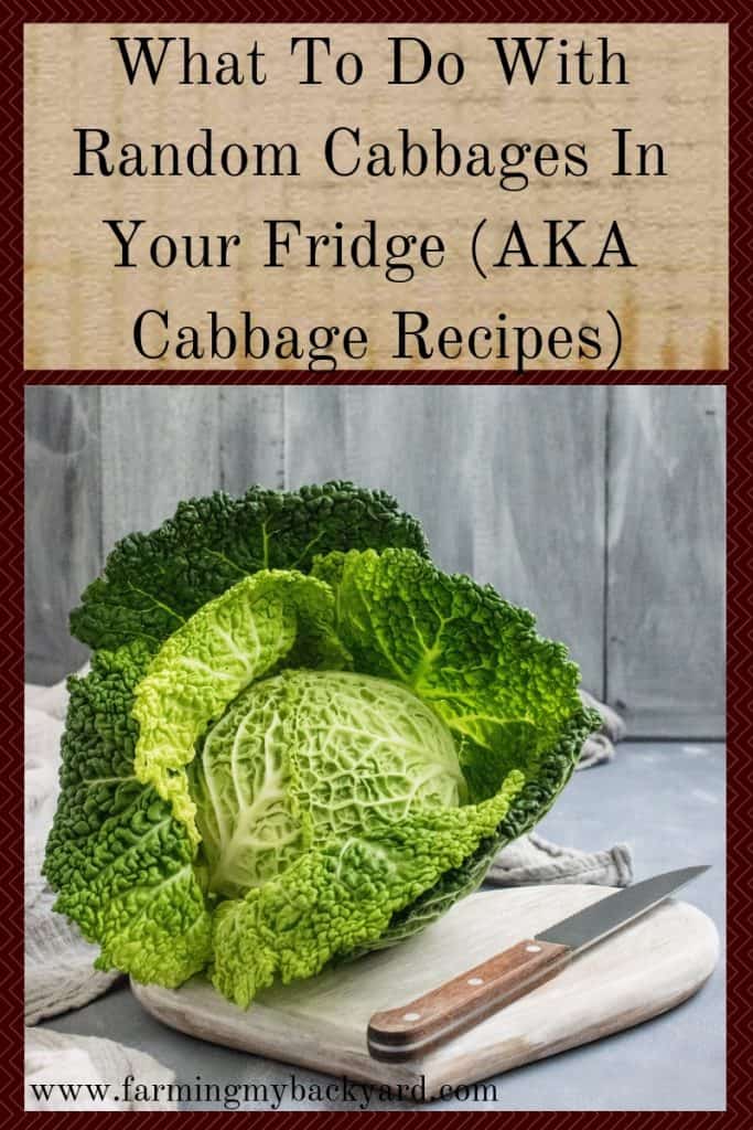 What To Do With Random Cabbages In Your Fridge (AKA Cabbage Recipes)