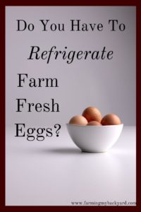 Do you really have to refrigerate farm fresh eggs? How come they won't go bad on the counter? Why do store bought eggs have to be refrigerated? Here's why!