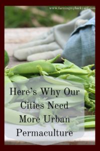 Here are some benefits of urban permaculture that everyone can experience no matter which city they live in. And the more the better!