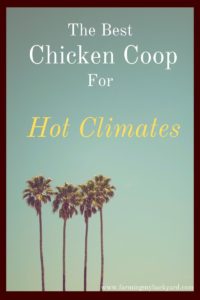 Most chicken coops are designed to keep your birds warm. But what if yours need to stay cool in the heat? Here is the best chicken coop for hot climates!