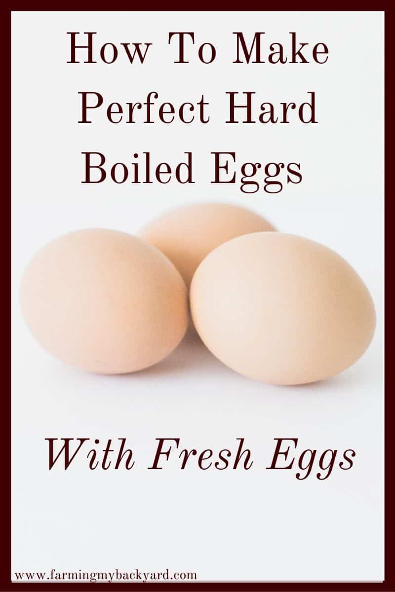 Sometimes fresh eggs can be difficult to peel. Thankfully, there are a few ways to easily hard boil fresh eggs so the shells don't stick. Here's how to make perfect hard boiled eggs!