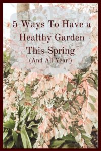 If you are like me, having a healthy garden is a dream every spring. If you are not naturally blessed with a green thumb, here are some tips for all year!