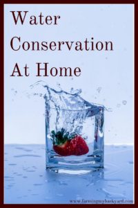 Water can seem like an unending resource, but water conservation is important!  Here is how to conserve water and preserve this valuable resource. 
