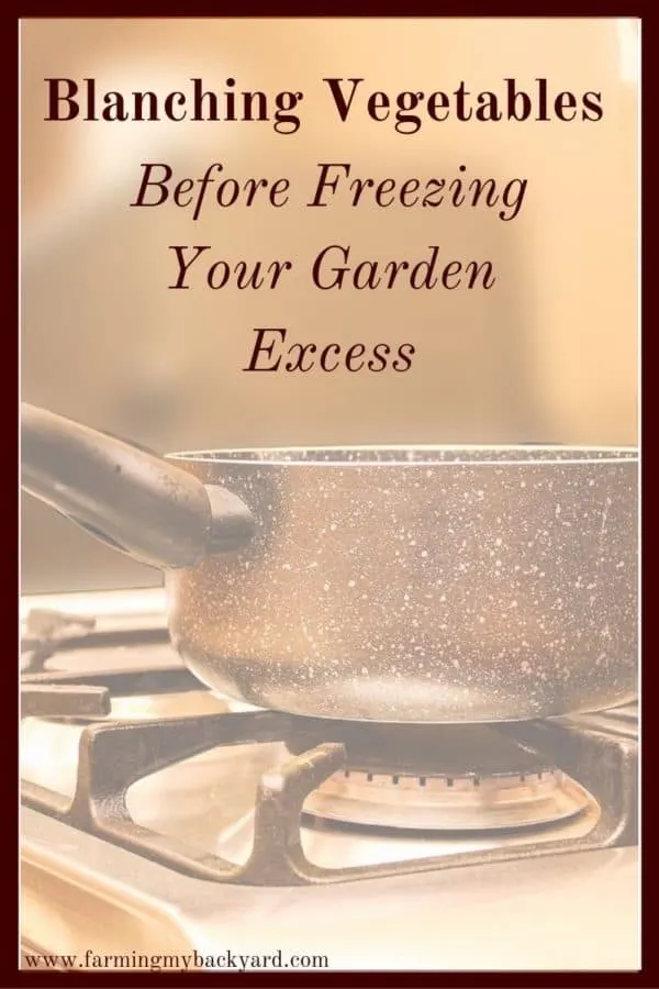 One of the easiest way to save excess garden produce is by freezing. Here's what you need to know about blanching vegetables before freezing!