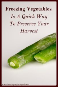 Have a ton of garden produce? Freezing vegetables is easy, effective, and doesn't require a bunch of expensive equipment!