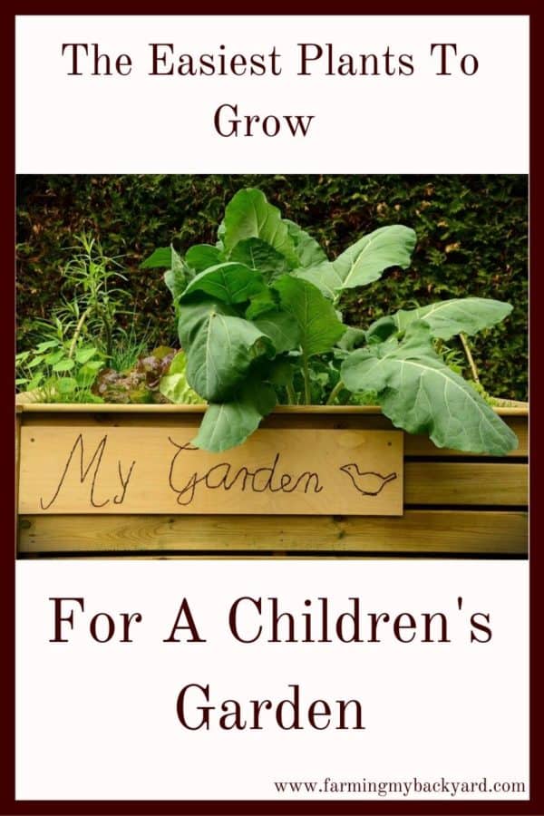 Making a space for a children's garden can be very rewarding for your family. Here are some of hte best plants to let your children grow.