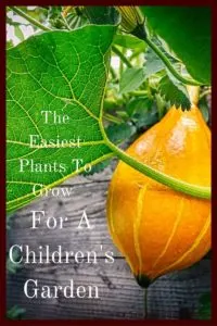 Making a space for a children's garden can be very rewarding for your family. Here are some of the best plants to let your children grow.
