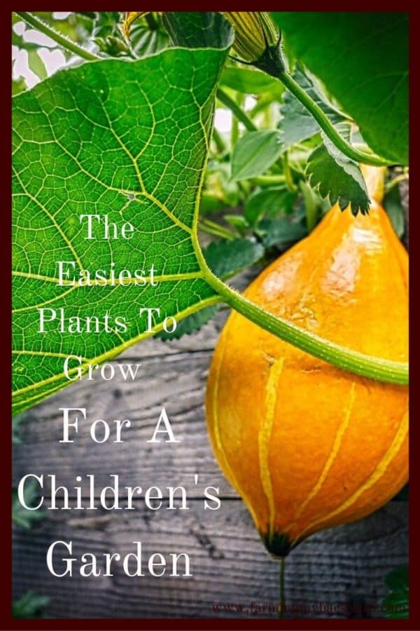 Making a space for a children's garden can be very rewarding for your family. Here are some of hte best plants to let your children grow.