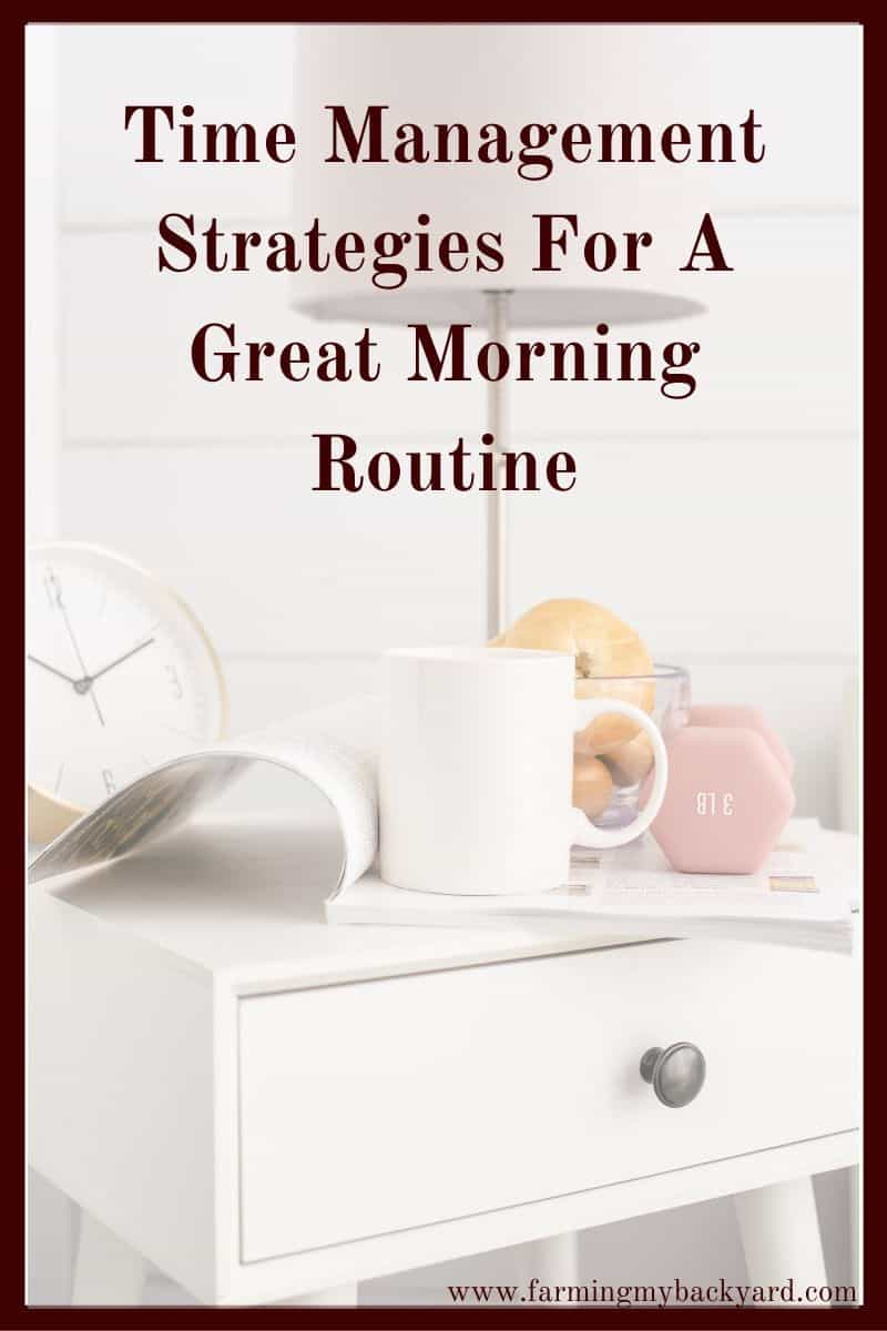 Having a streamlined and effective morning routine can be absolutely crucial. Here are some time management strategies to help you start your day.