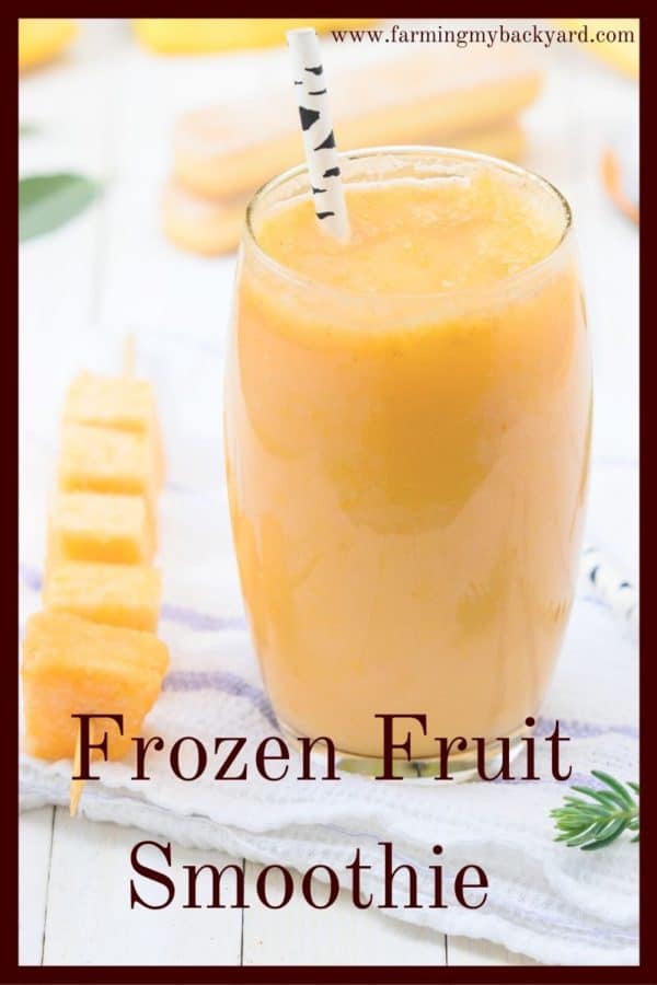 What's your favorite frozen fruit smoothie?  There are so many smoothie flavors you can make! 