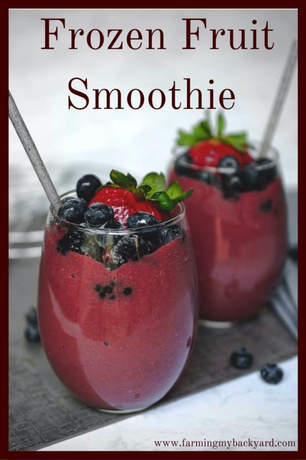 One of my favorite foods is a frozen fruit smoothie.   They are delicious and a great way to sneak in some extra vegetables.  What's your favorite? 