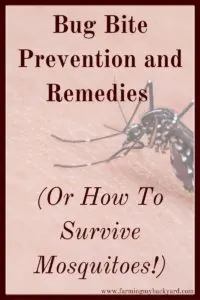 Here are some tips on bug bite prevention and remedies to help you be able to take back your yard and use it without fear of pests.