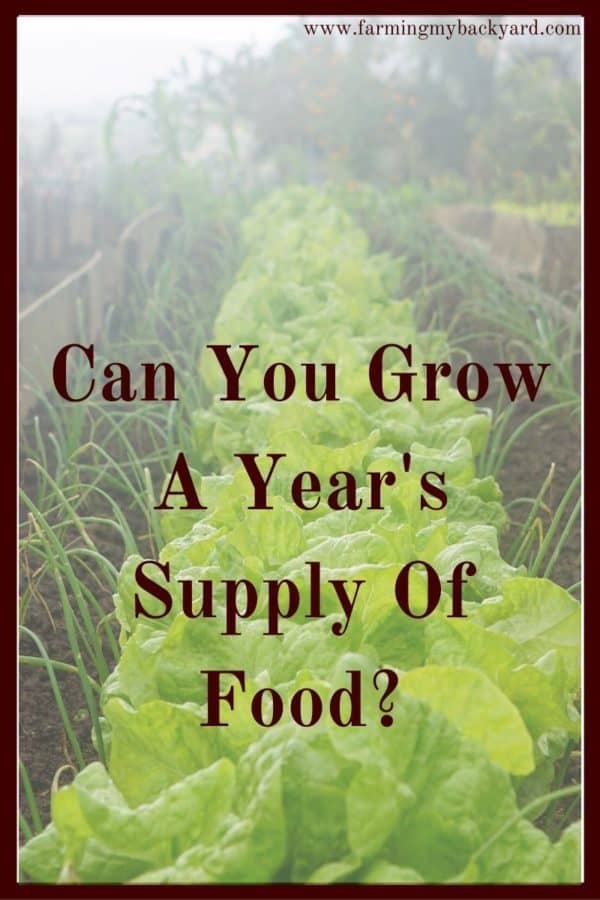 Just what does it take to grow a year's supply of food? Here's how you can figure out what's possible in the space you have and get started!