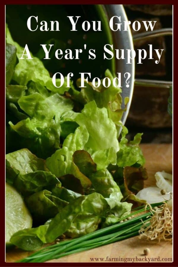 Just what does it take to grow a year's supply of food? Here's how you can figure out what's possible in the space you have and get started!