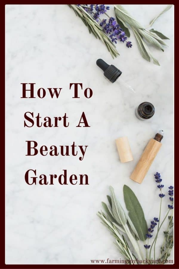 Have you ever considered growing a beauty garden? Make your own homemade beauty proucts with flowers and herbs you may already be growing!