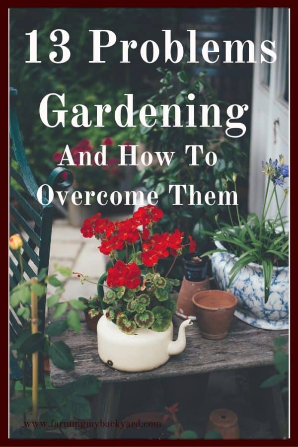 It would be great if gardening came easily to all of us. Unfortunately, problems gardening are pretty common. Here is what you can do to get past them.