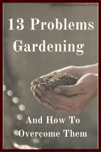 It would be great if gardening came easily to all of us. Unfortunately, problems gardening are pretty common. Here is what you can do to get past them.