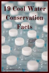 Saving water is important for all of us. Here are some interesting water conservation facts to keep you motivated to save water!