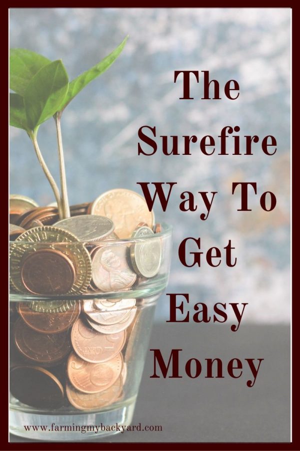 Don't you just wish sometimes there was a way to get easy money?  Too bad we can't wish for more.  Luckily there is a way to get more money fast!