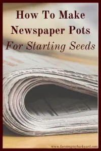 Make your own DIY newspaper seed pots! They are easy to make and biodegradable. You can save money and reduce waste at the same time.
