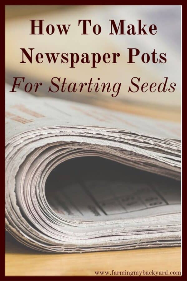 Make your own DIY newspaper seed pots! They are easy to make and biodegradable. You can save money and reduce waste at the same time.