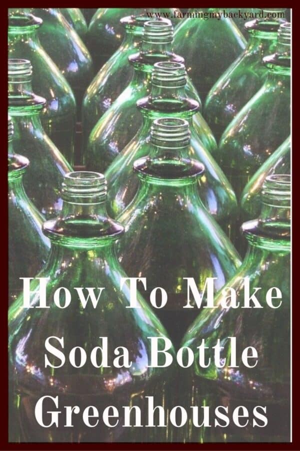 Soda bottle greenhouses are an easy way to start your seeds indoors, or even winter sown seeds outdoors.  They are cheap and easy to make!