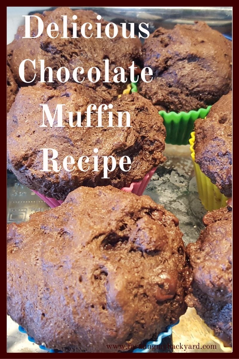 One of the most delicious treats to for breakfast or a snack are muffins. This chocolate muffin recipe could actually be a dessert in hiding.