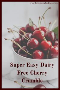 Do you need a super easy dessert to make? This dairy free cherry crumble is very versatile and quick to put together. You can use any fruit!