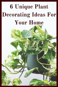 Here are some plant decorating ideas you can use to beautify your house on the inside. Homesteading doesn't have to mean rustic!
