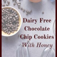 If you need a milk free, refined sugar free cookie recipe, check this one out. It only requires a few swaps to make a tasty cookie.