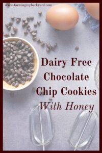 If you need a milk free, refined sugar free cookie recipe, check this one out. It only requires a few swaps to make a tasty cookie.