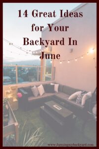 June is a great time to hang out outside and enjoy your yard. Here are 14 great ideas for your backyard that you can do in June!