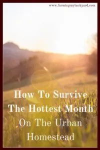 The hottest month of the year is tough on your backyard chickens, your summer garden, and other livestock. Here's how to survive!