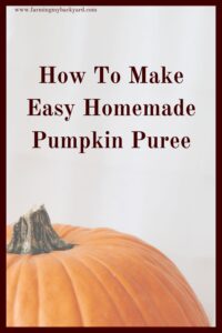Pumpkin puree is an easy and healthy way to prepare pumpkin for use in pies, soups, breads, and cookies. It's one of the easiest foods from the garden!