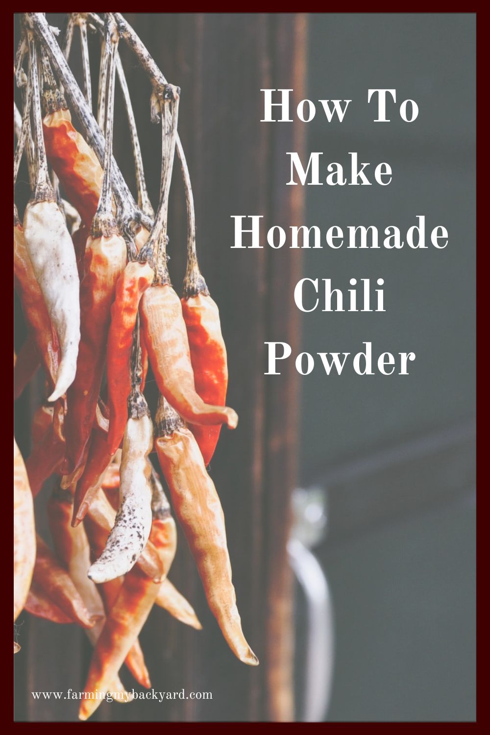 Homemade chili powder is super easy to make, all you need are dried chilis and a blender!