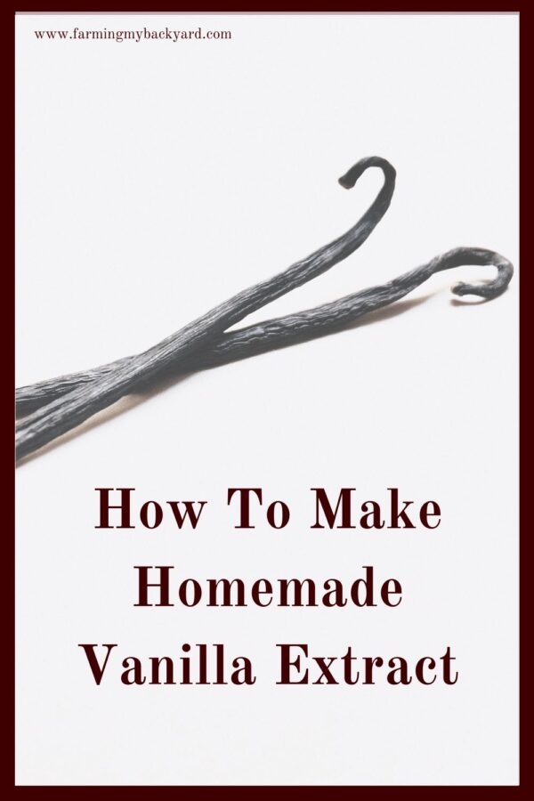 Homemade vaniila extract is an easy and delicious project. You can make some for gifts, or just to enjoy in your own baked goods!