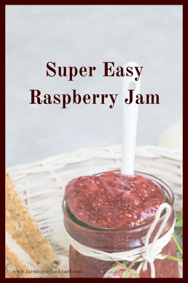 Just how easy is it to make raspberry jam? Well, it turns out it's pretty darn easy! Here's how to do it, as well as some inspiration for other treats.