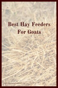 Goats have a reputation for eating anything, but they actually can be quite picky. Check out some of the best hay feeders for goats.