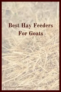 Goats have a reputation for eating anything, but they actually can be quite picky. Check out some of the best hay feeders for goats.