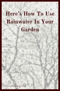 Save money on water in your garden by using rainwater in your garden! And you may even be able to use it for all your landscaping too!