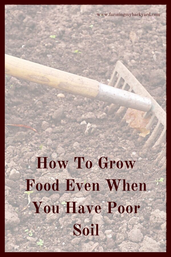 Gardening is easy when you start out with great soil. But how can you grow your own food even when you have poor soil?