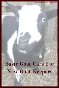 Getting goats? It's a good idea to have an overview of basic goat care. Here are the essentials to getting started with goats.