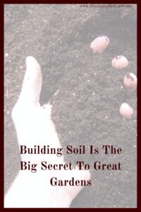 Building soil will make you a better gardener. The quality of your soil makes a huge difference in your success!