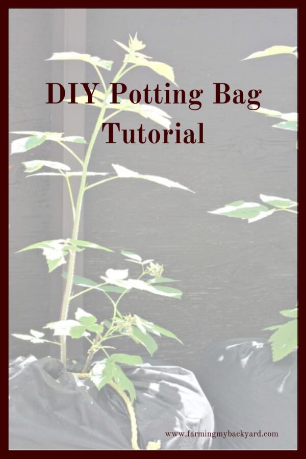 Potting bags are an easy to make project when you need portable planting space or are just looking to maximize the space you have.