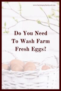 You don't actually NEED to wash farm fresh eggs, although there are some circumstances where you may want to. 
