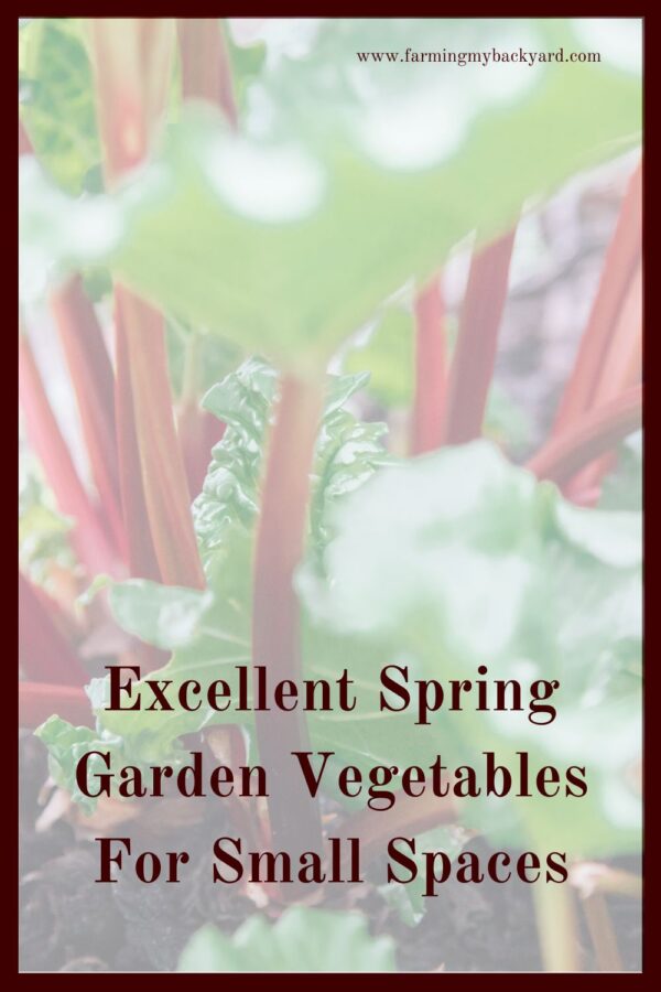 When you have a small garden, choose plants that grow well together!  Here are some excellent spring garden vegetables for small spaces. 