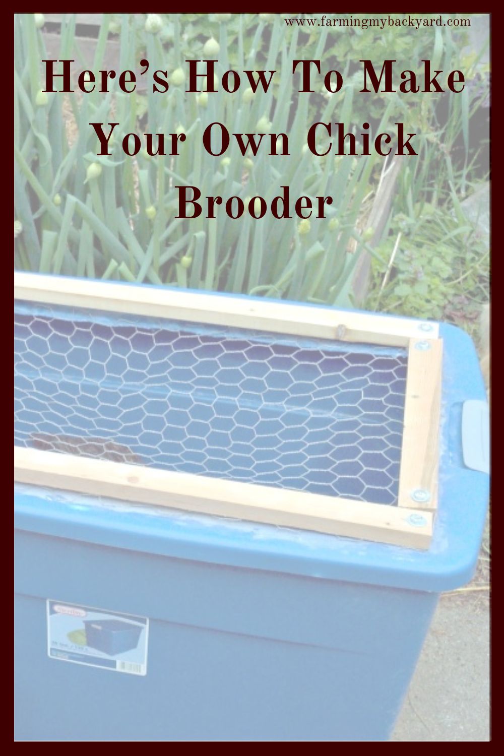 Here's how to make an easy DIY chick brooder box for a small backyard flock just by using chicken wire and a plastic tub.