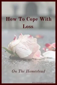 Knowing that death is part of life doesn't make it easy to cope with. When faced with loss on the homestead, what's the best way to cope?